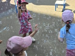 img (4)